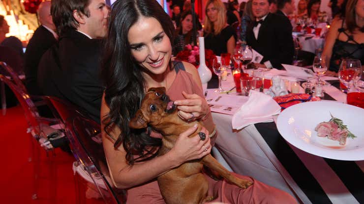 Image for Small Dog or Baby: Demi Moore Must Choose