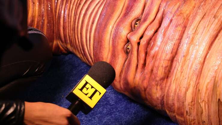 Image for How I Feel Reading About How Many Calories Heidi Klum Eats in a Day