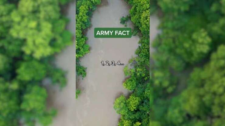 Image for Did You Know: Army Fact