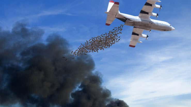 Image for Shell Dumps 15 Tons Of Otters From Airplane To Put Out Burning Oil Field