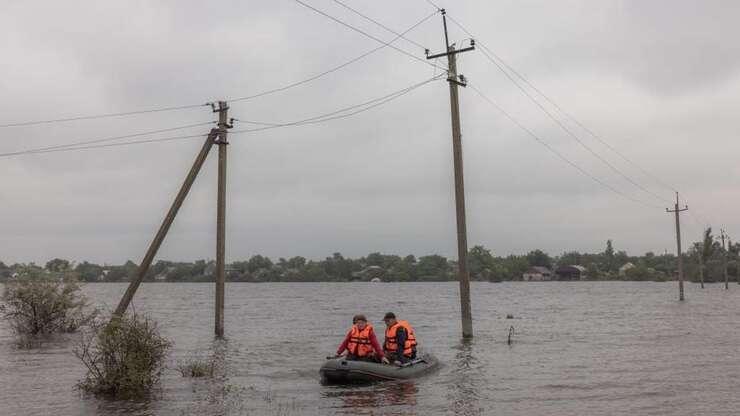 Image for Putin’s War Against Ukraine Is Slaughtering Dolphins in the Black Sea