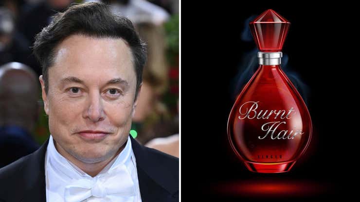 Image for Elon Musk Peddles 'Burnt Hair' Perfume, Fails to Deliver on High-Speed Trains