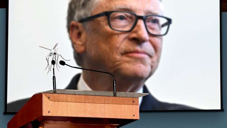 Image for Mosquito Scientists Announce Plans To Eradicate Bill Gates
