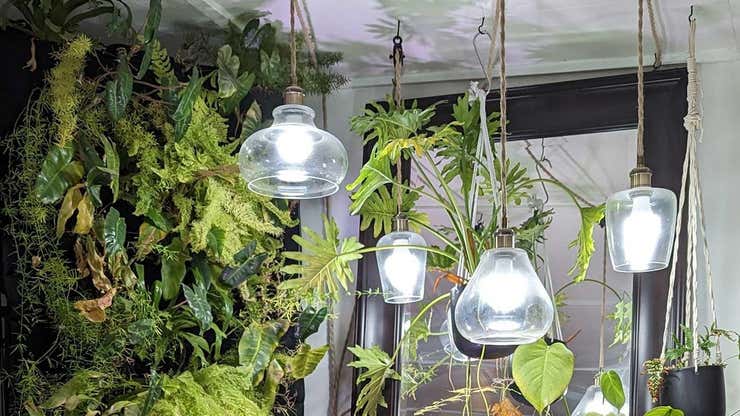 Image for You Can DIY Better (and Prettier) Grow Lamps