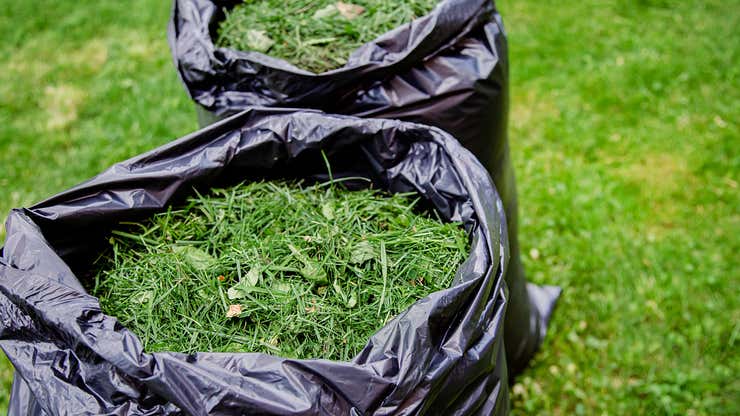 Image for The Best Ways to Use Grass Clippings in Your Garden