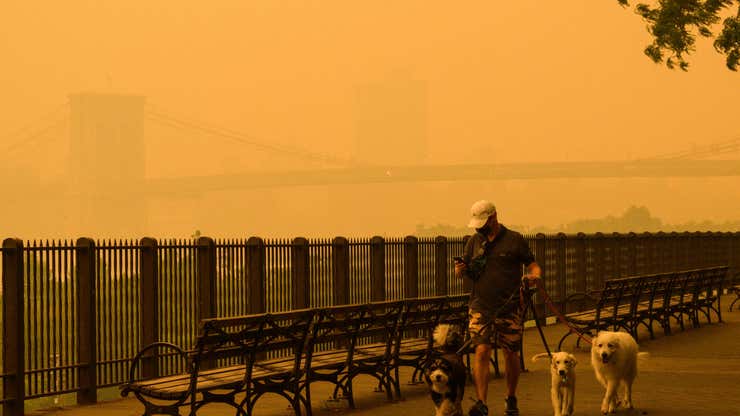 Image for Here's Why NYC Looks Post-Apocalyptic and Why Black Folks Should Stay Clear