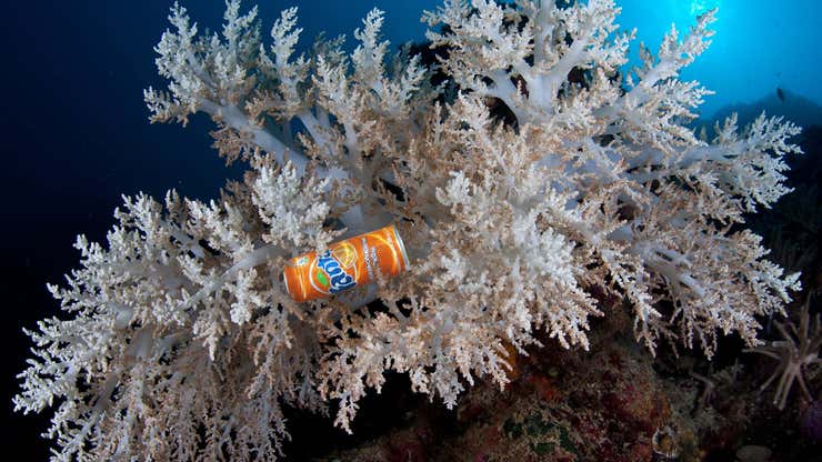Image for Submerged Trash Adds Welcome Pop Of Color To Bleached Coral Reef