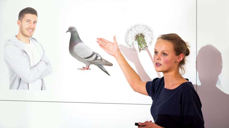 Image for Conservationists Confirm Only Remaining Species Are Humans, Pigeons, Dandelions