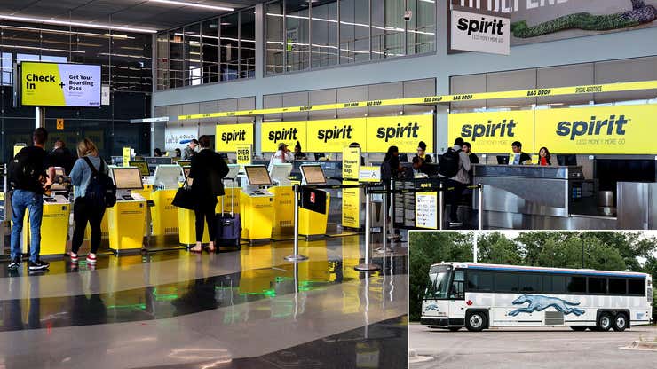 Image for Spirit Airlines Begins Offering $45 Directions To Nearest Greyhound Bus Station