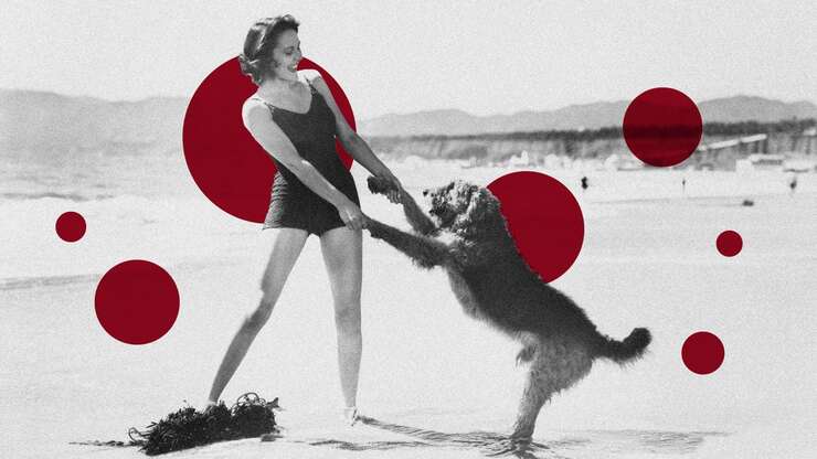 Image for The Mermaid Docuseries, Mystery Novels & Carly Rae Jepsen Song That Got Us Through the Week