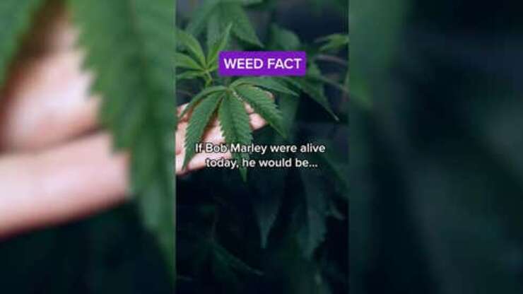 Image for Weed Fact: Did You Know?