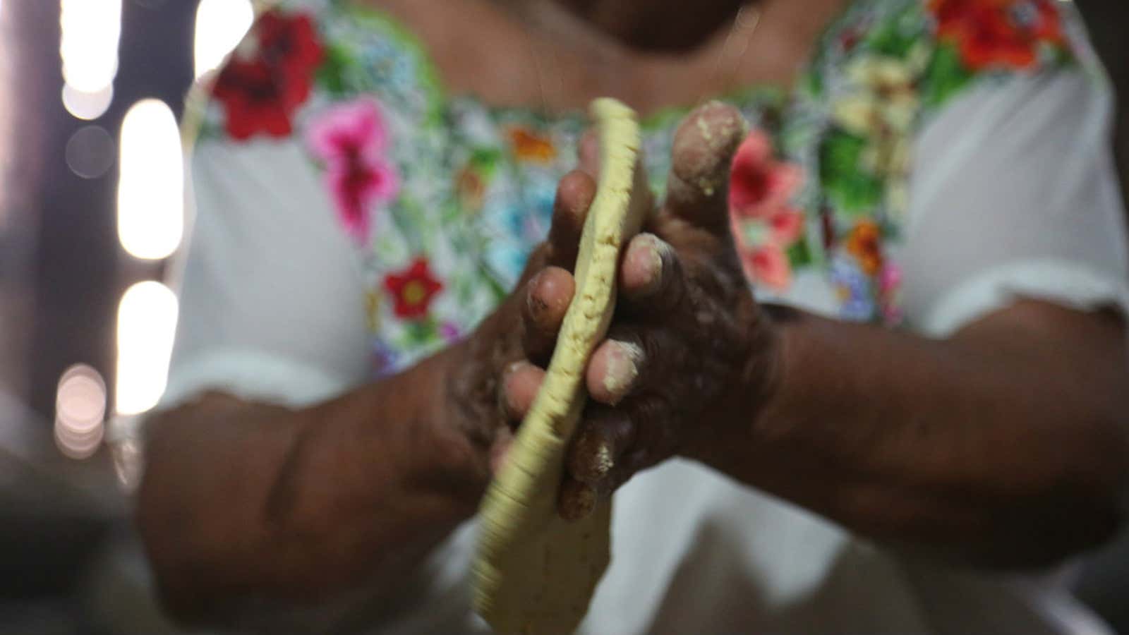 Top photo: Antonia Chulim Noh making tortillas by hand in Kahua, Yucatan. The corn is from her own milpa. (Photo credit: Venetia Thompson via Civil Eats.)