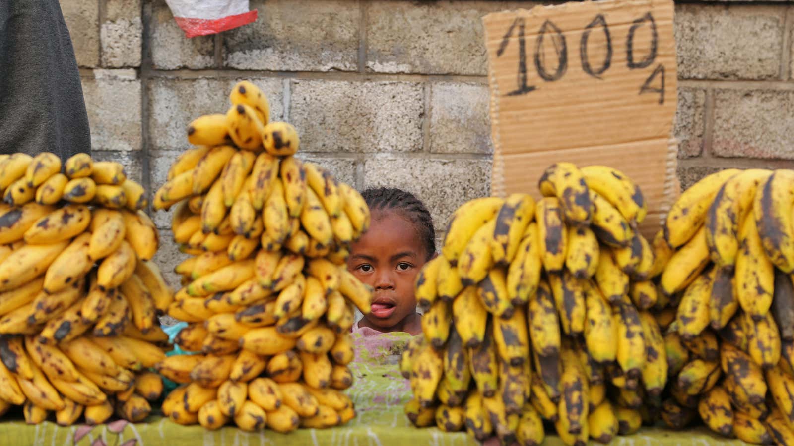 These Madagascar bananas could be next.