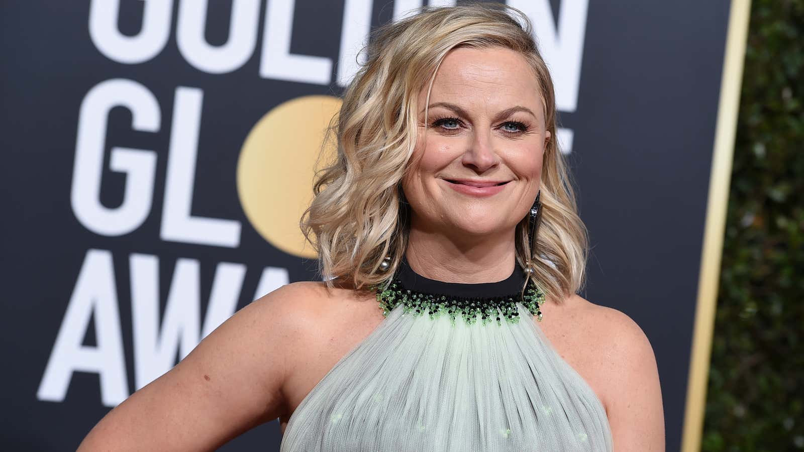Amy Poehler would like to propose a toast.