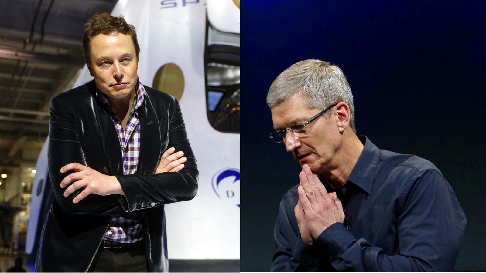 Gurus: Tesla CEO Elon Musk (L) and Apple CEO Tim Cook (R).