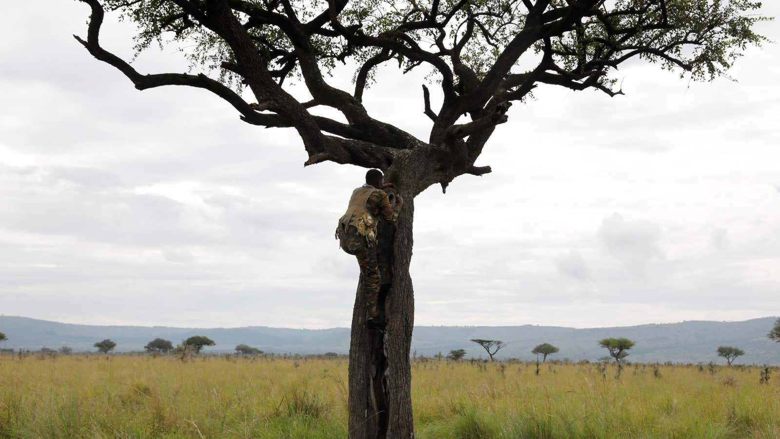 The Ruma National park, Nyanza province, western Kenya