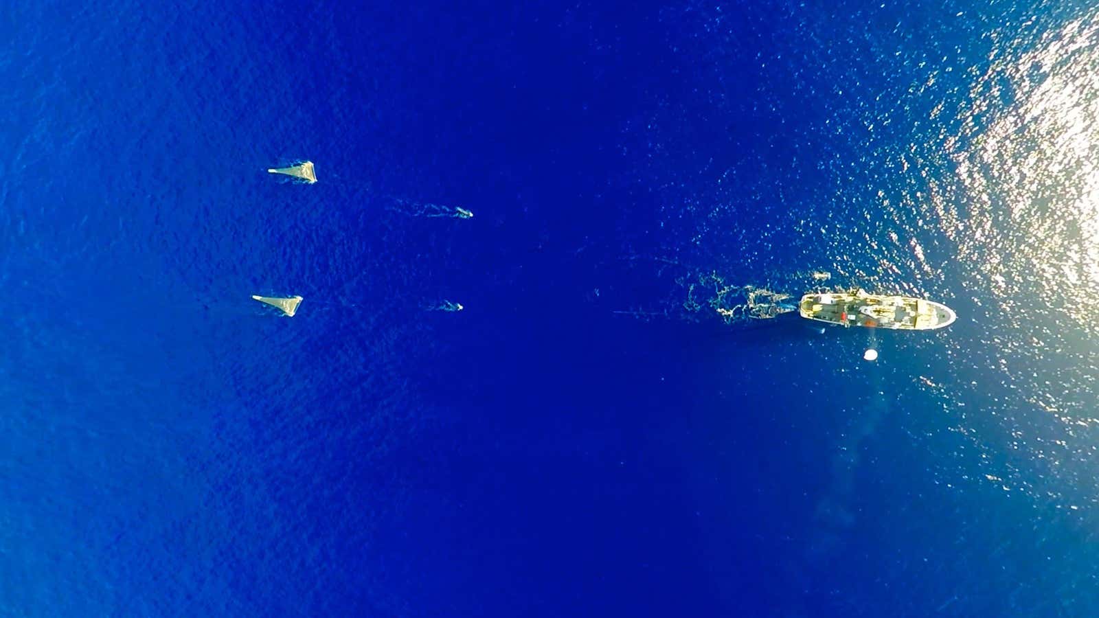A Dutch-led research expedition brought in netfuls of plastic—and counted them all.