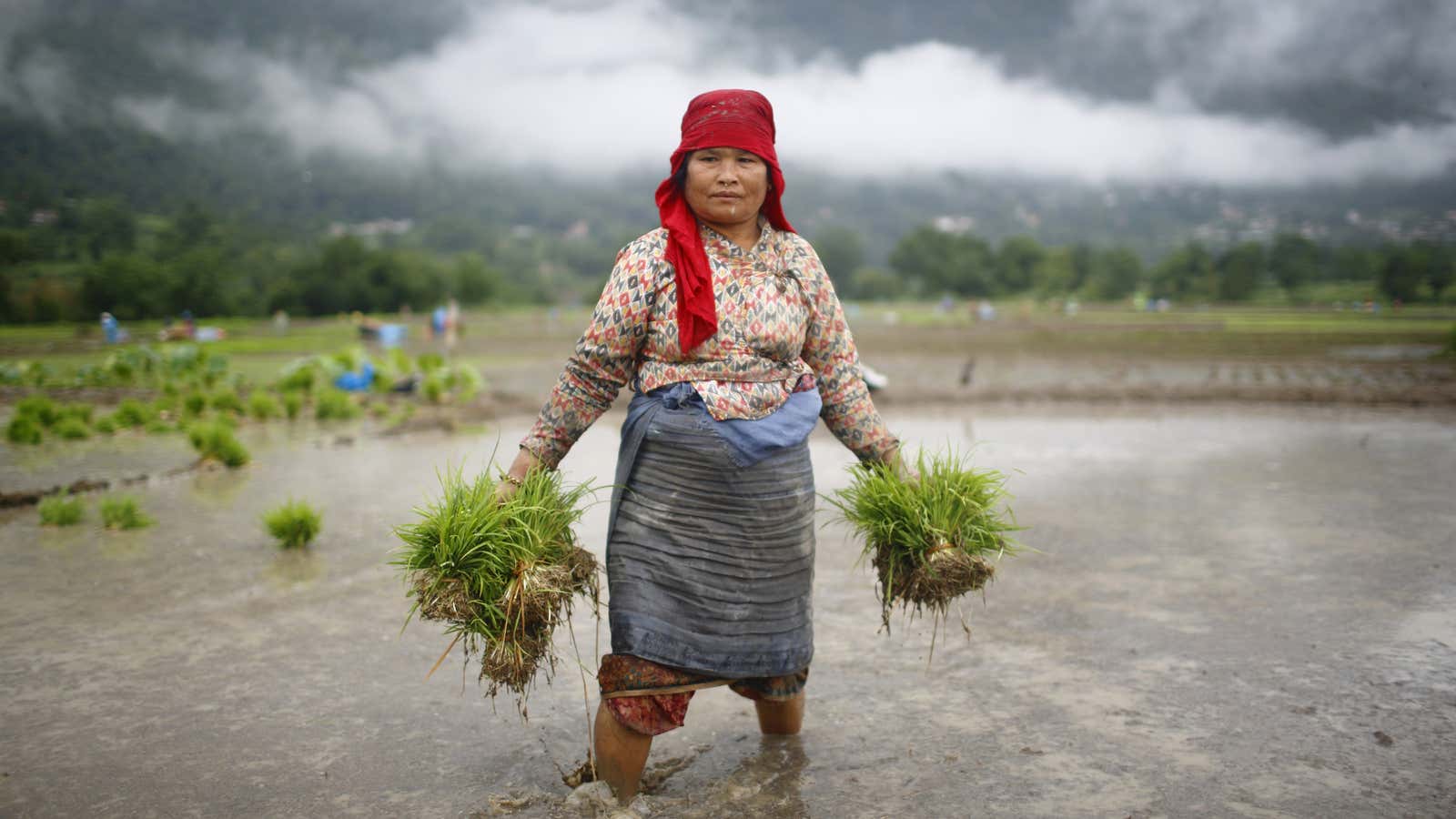 Female subsistence farmers in the developing world will bear the most severe impacts of climate change.