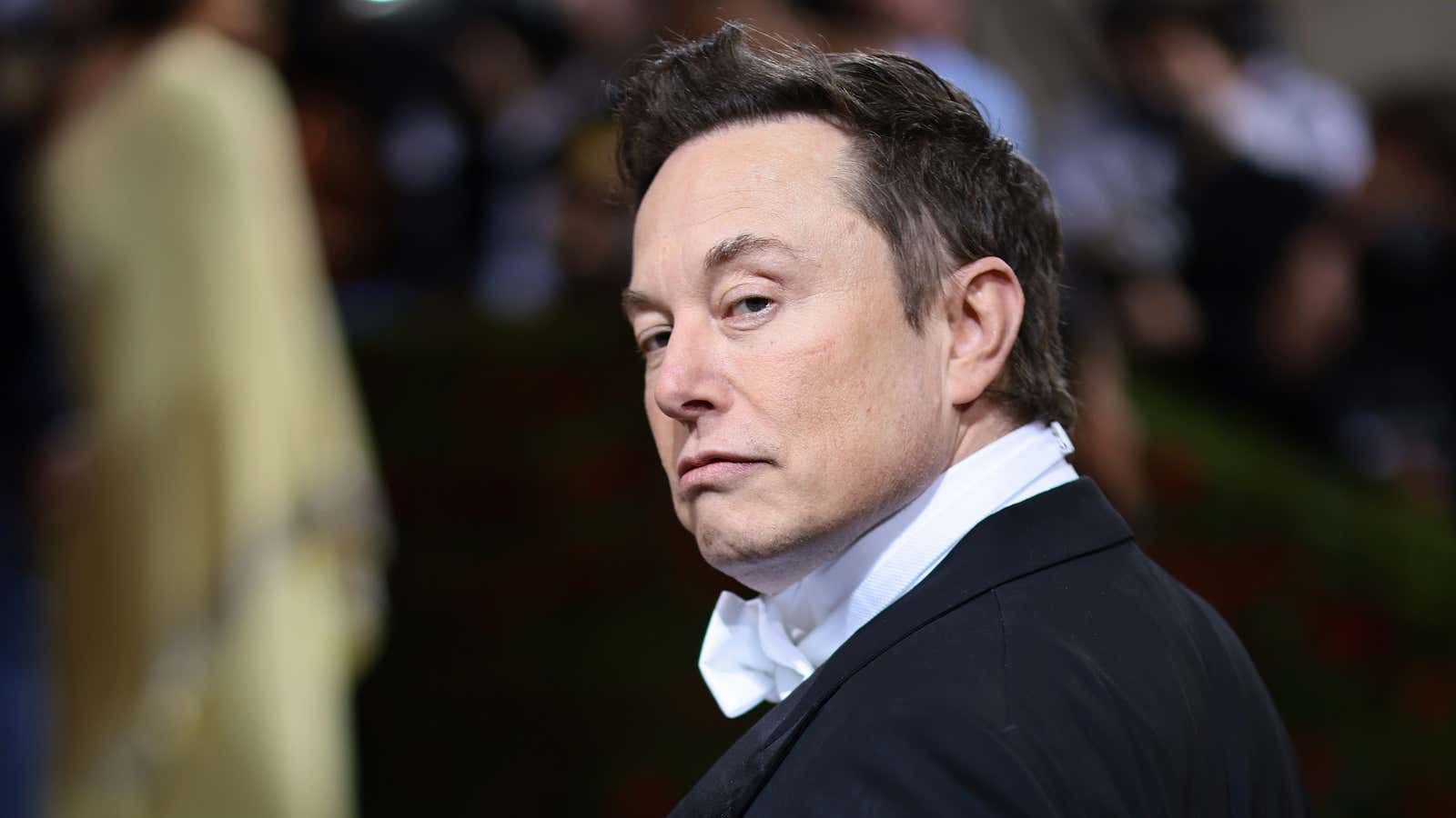 Elon Musk has disappeared from Twitter.