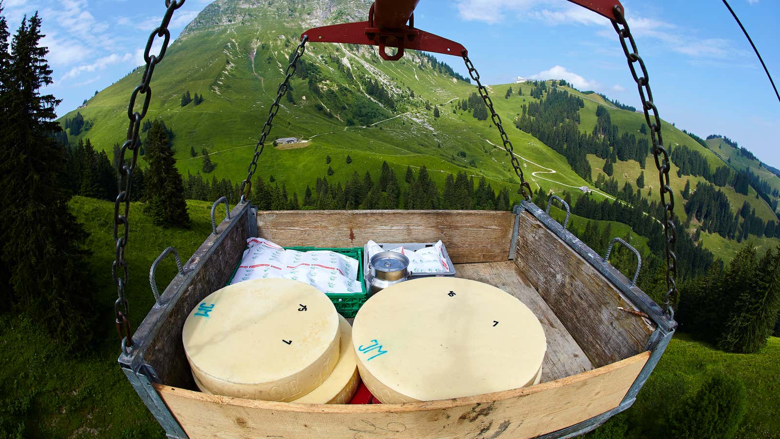 Gruyere at the forefront of the new global economy.