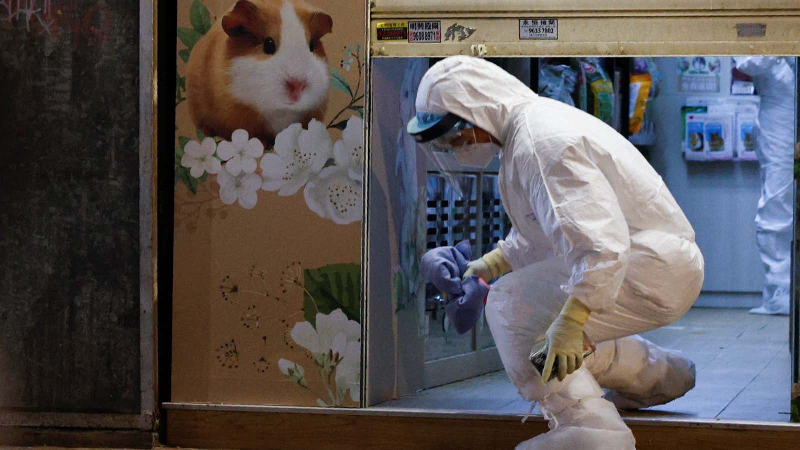 A wildlife official leaves a pet shop after Hong Kong planned to kill 2,000 hamsters to prevent the spread of covid.