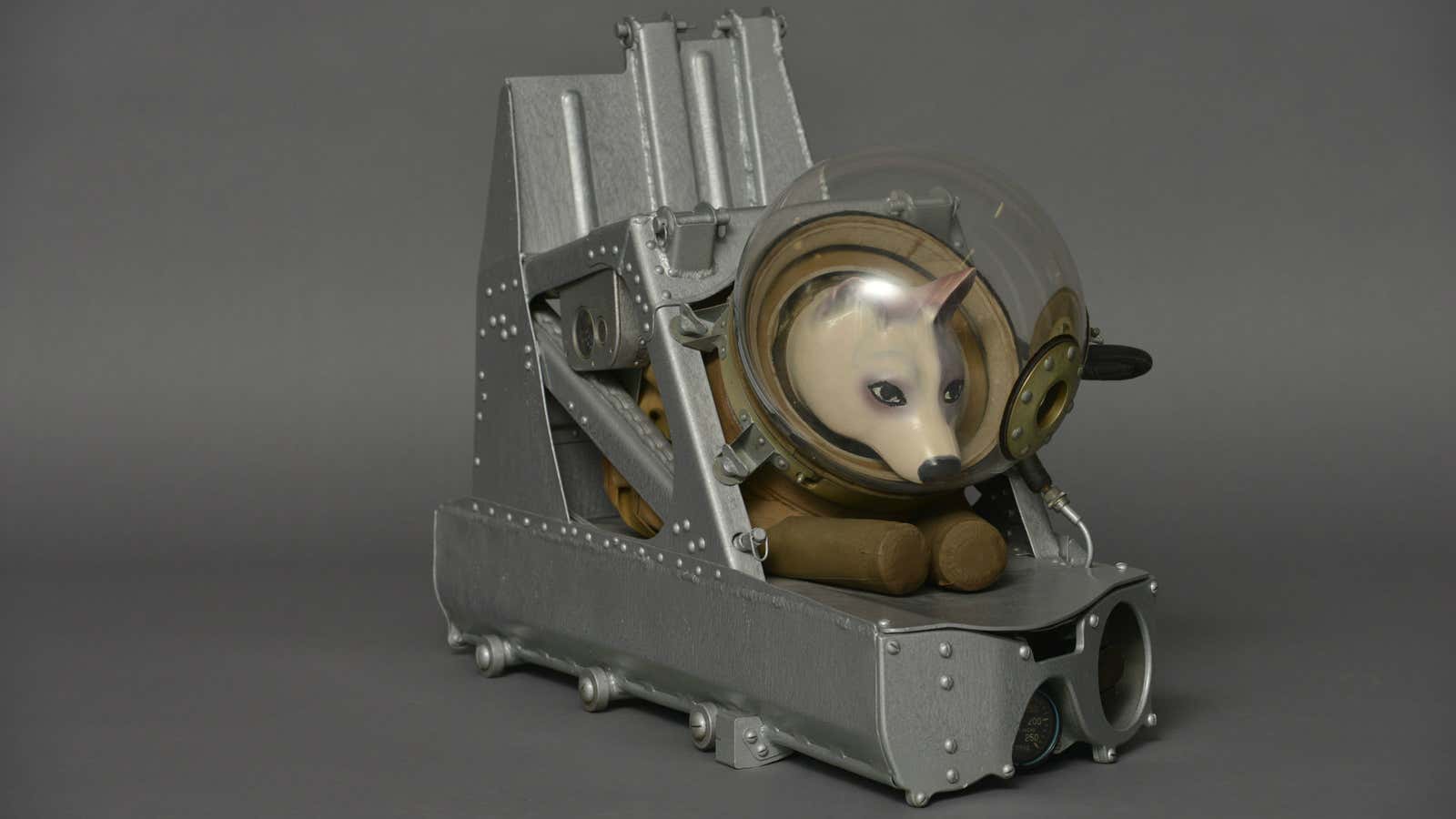Dogs were launched on high altitude rocket flights during the 1950s. Each dog was ejected from the rocket during descent and fell to Earth by parachute. These trials helped in the development of life support systems for the first animal and human orbital missions that came later.