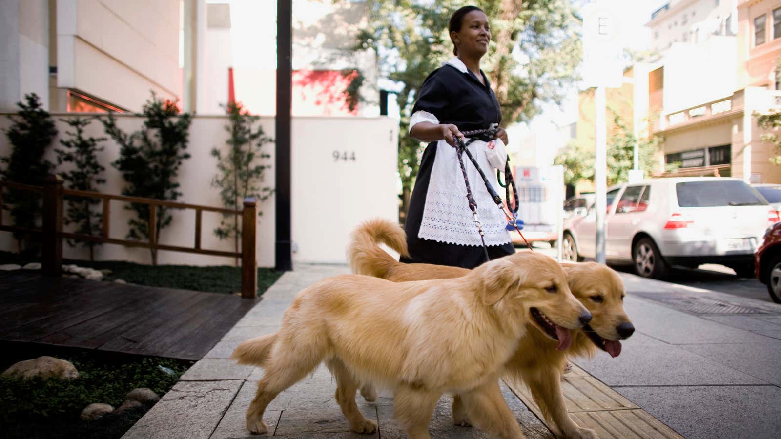 A maid in Sao Paulo, Brazil walks dogs along posh Oscar Freire street.