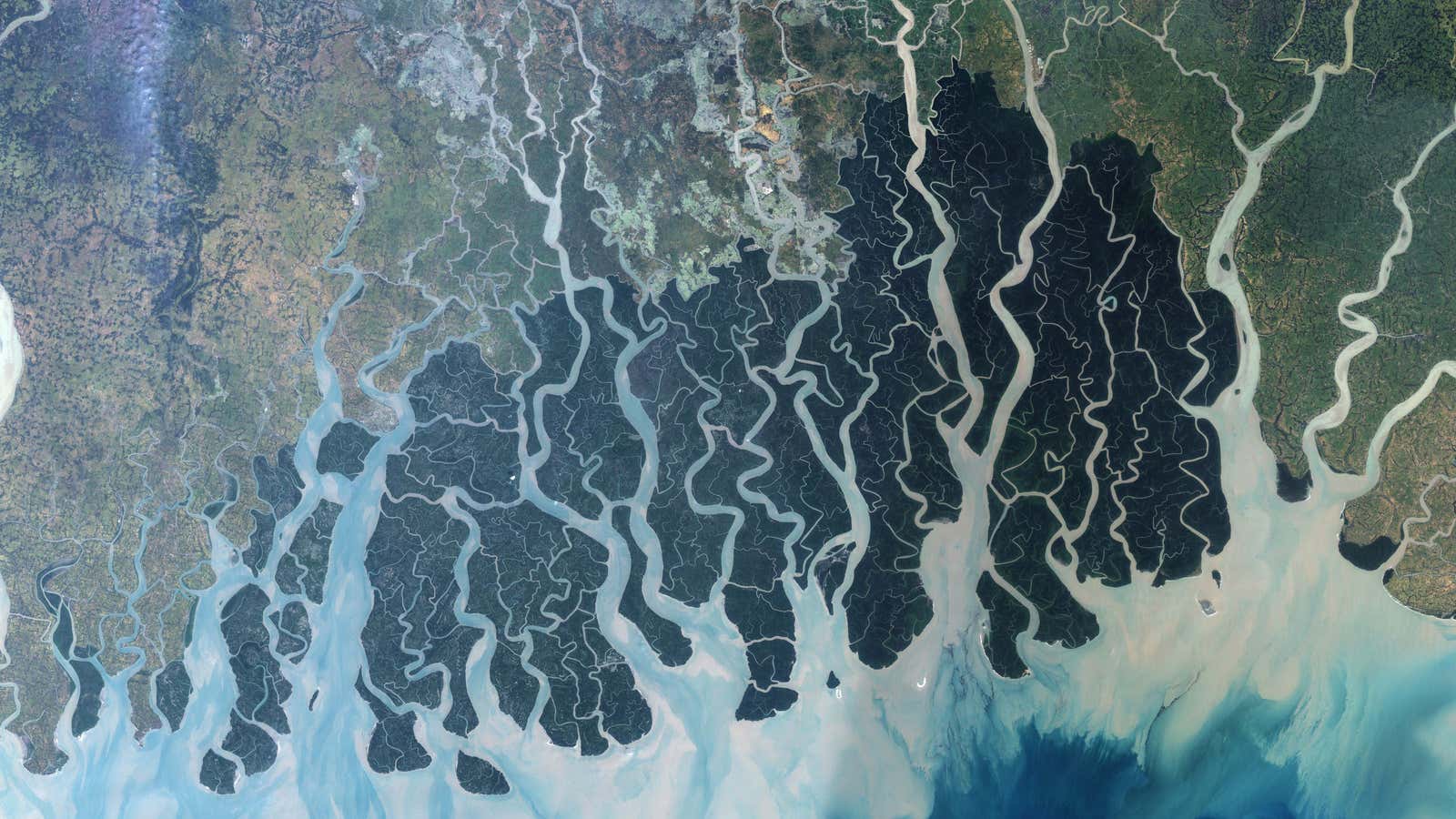 Is this the end for the Sundarbans?