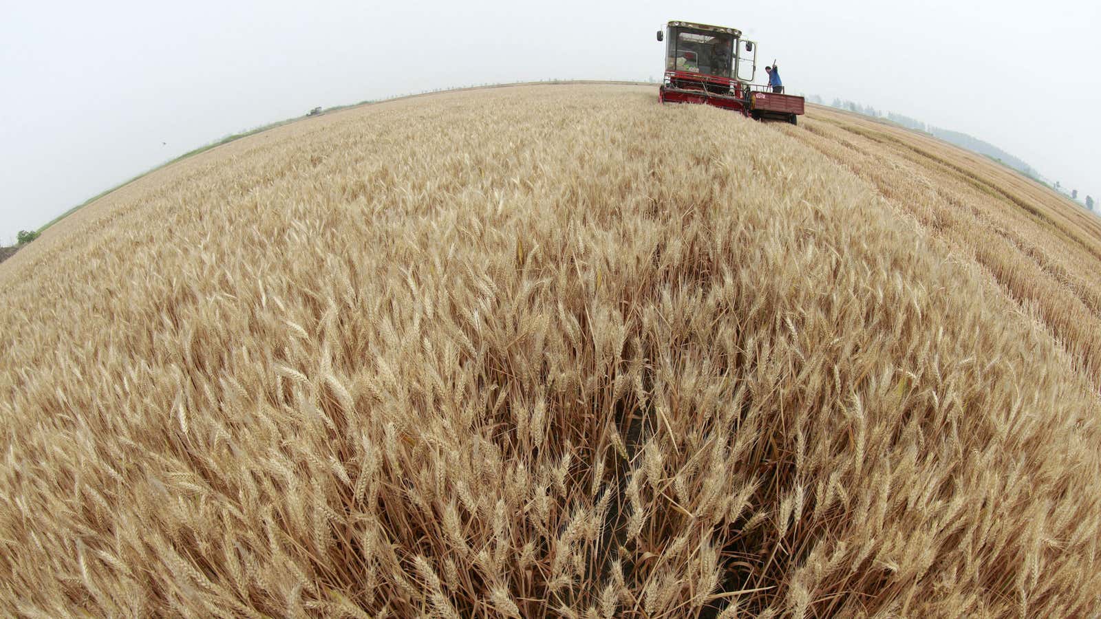 China imports 4% of the world’s grain and that’s still not enough