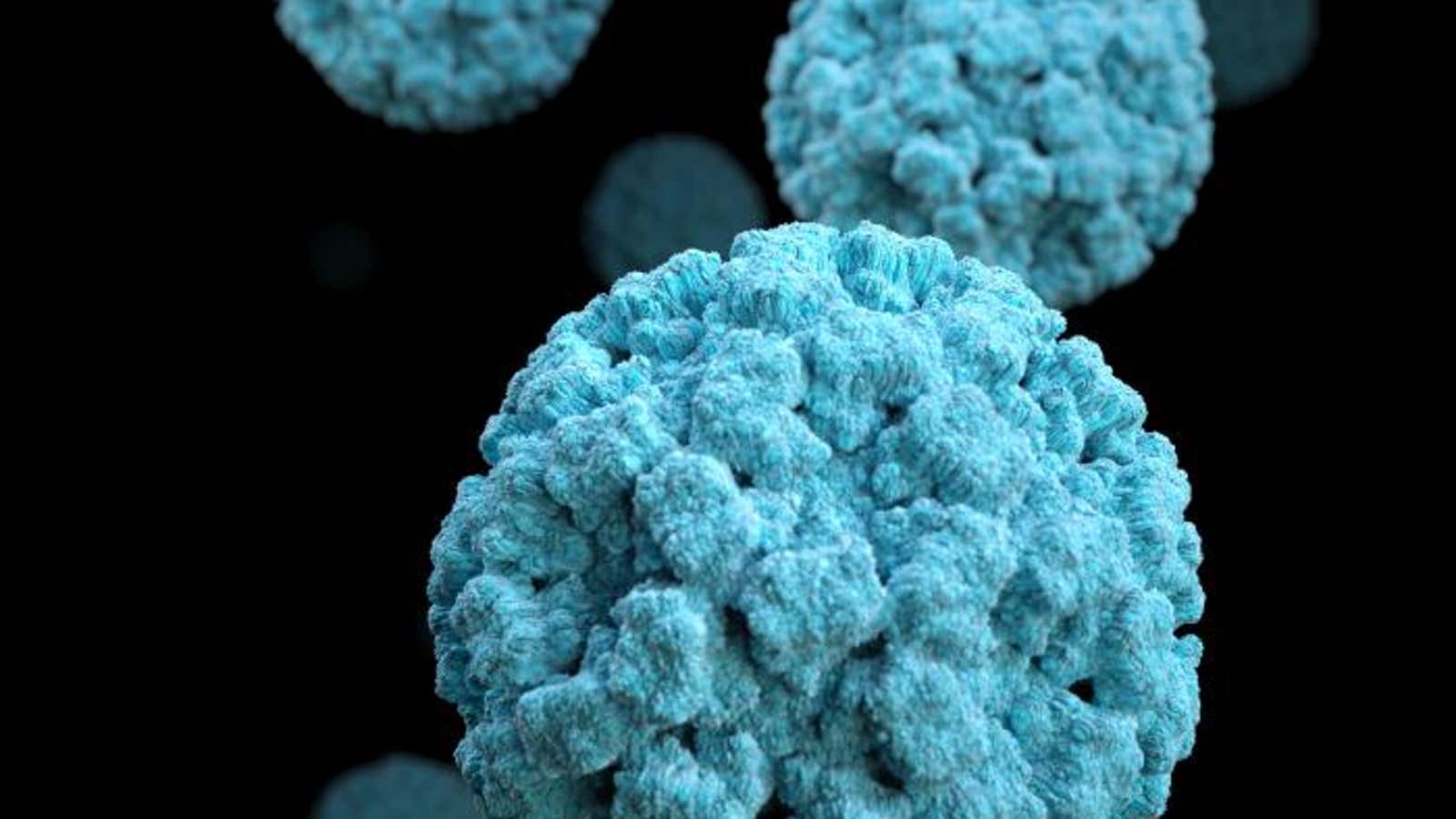Viruses like norovirus are much more potent in groups.