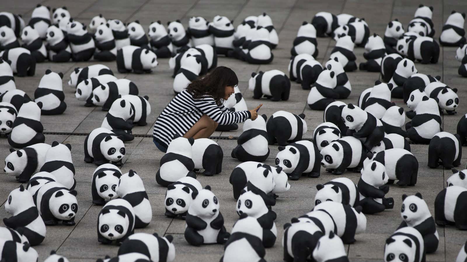 Too many bears.
