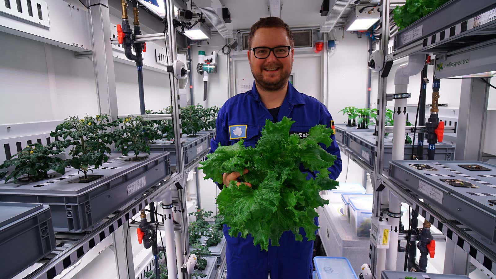 Scientist Paul Zabel shows off some freshly grown vegetables.