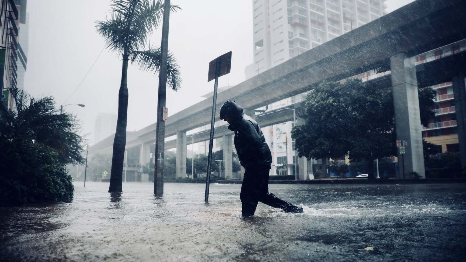 A flooded street in downtown Miami as Hurricane Irma arrives on Sept. 10, 2017.
