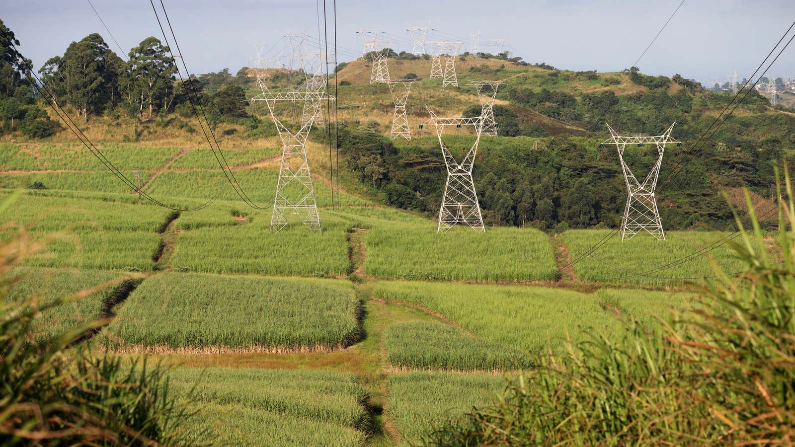 Power lines supplying electricity by stated owned Eskom run through sugar cane fields on a Tongaat Hulett farm in Shongweni, South Africa 