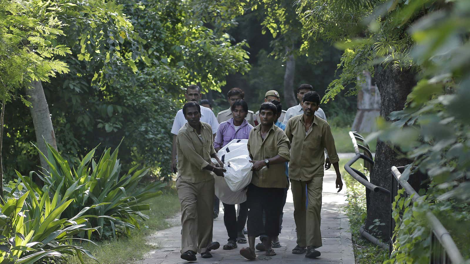 Zookeepers carry the body of a man killed by a white tiger.