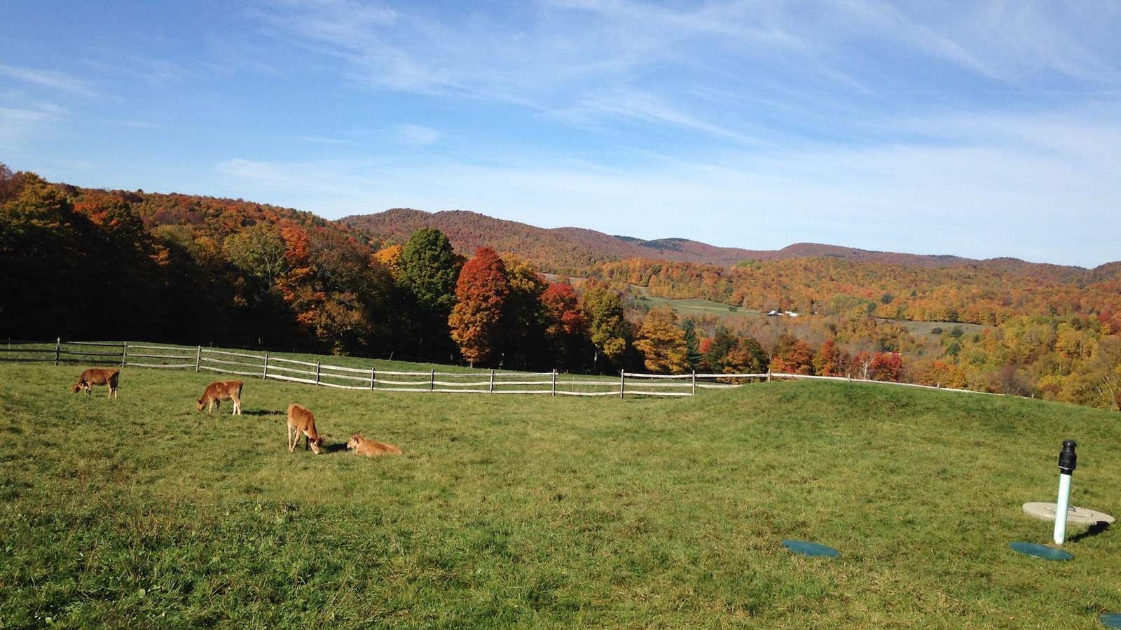 What it’s really like to work remotely from Vermont