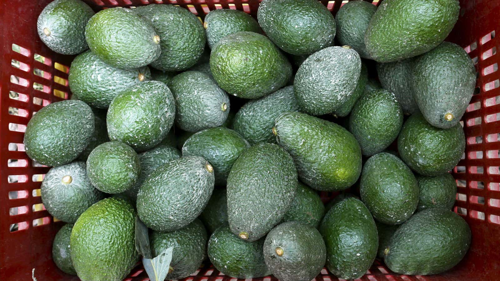 In the US, Avocados followed a classic path to mainstream adoption.