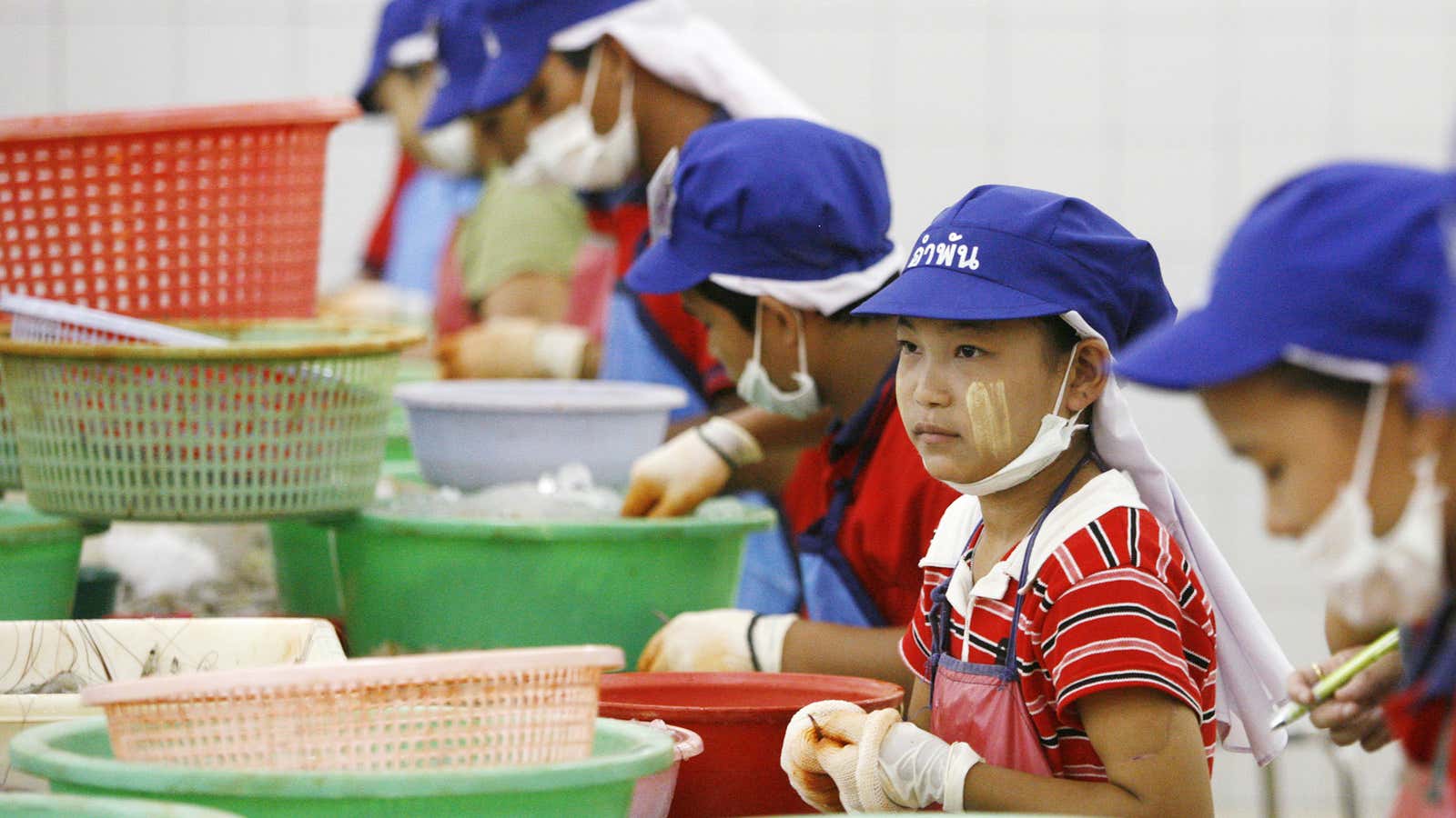 Thailand’s gutted, peeled and deveined shrimp, brought to you by 13-year-old migrants from Myanmar.