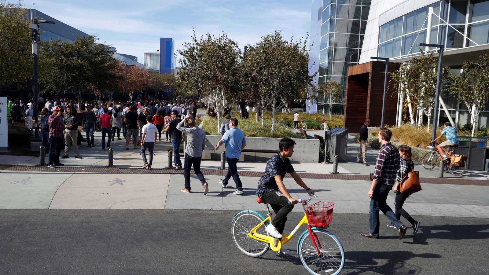 The Googleplex has fun colored bikes and a dismal caste system.