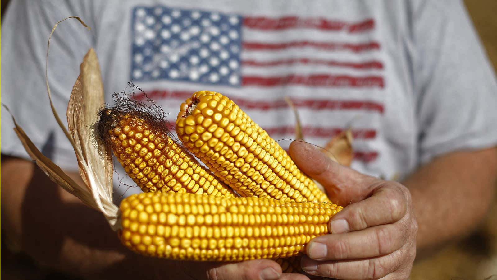 No corn for China.