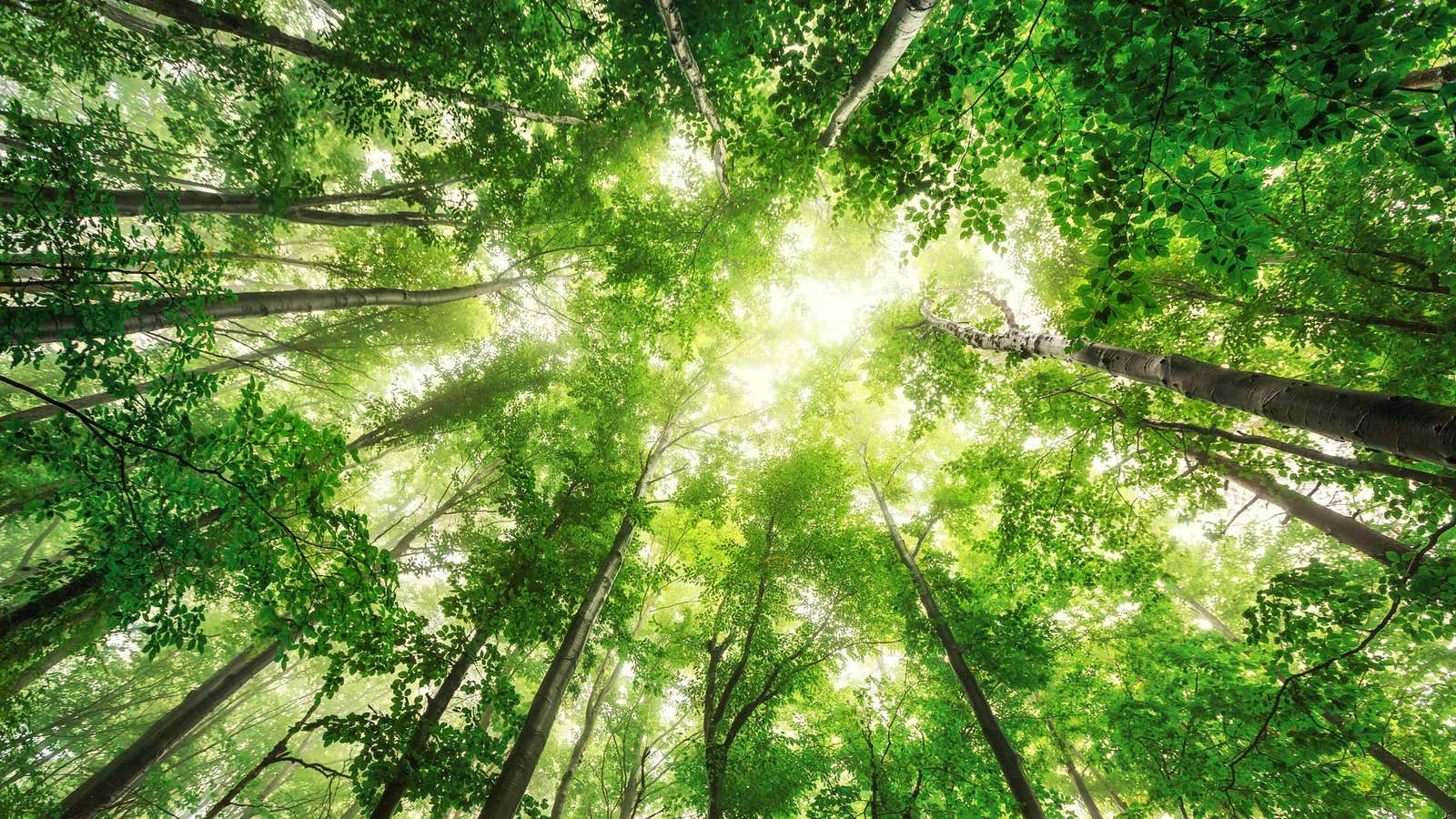 A closer look at a sustainable investment philosophy