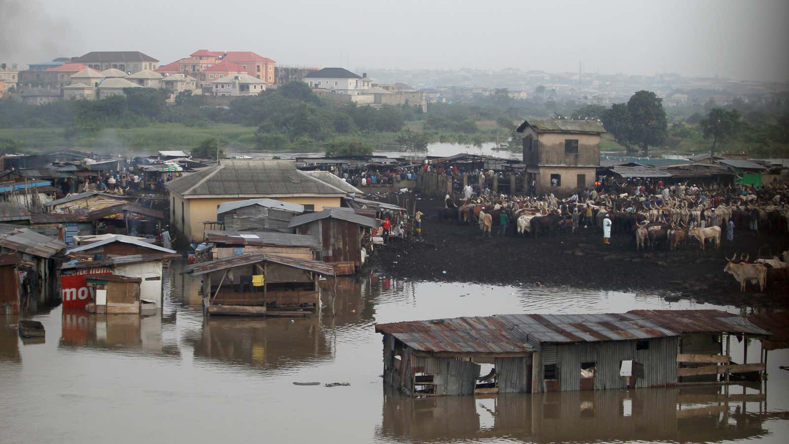 The Ogun river flooding the banks near a livestock market in Lagos, Nigeria.