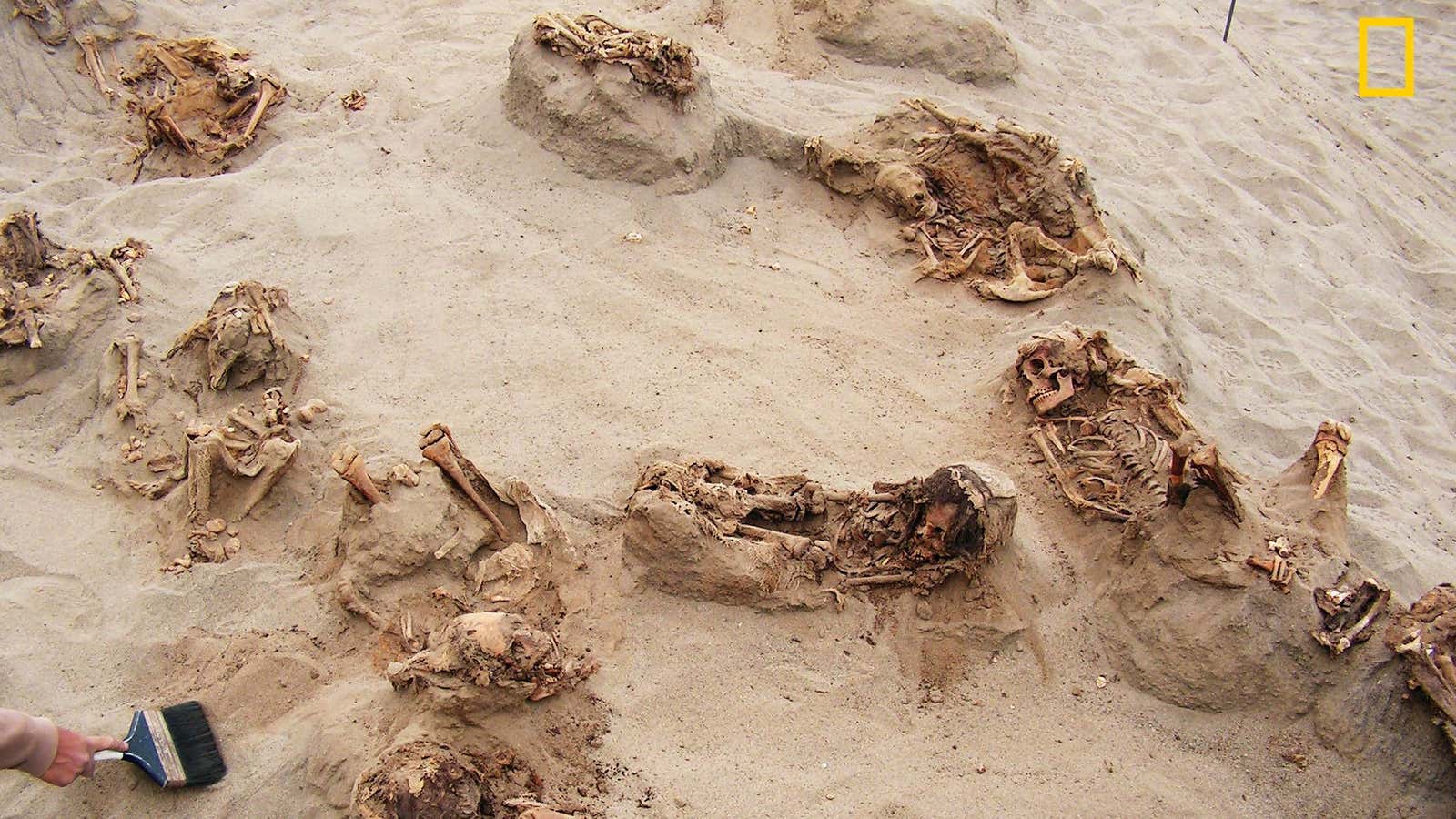 Preserved in dry sand for more than 500 years, more than a dozen bodies are revealed by the hands of archaeologists.