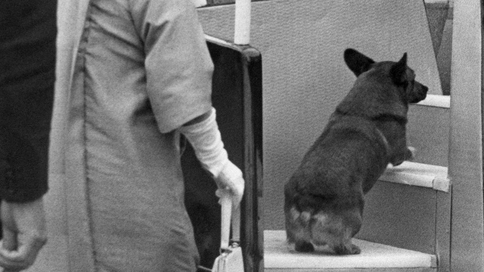 The Queen Mother waits for no one — except her first-class corgi