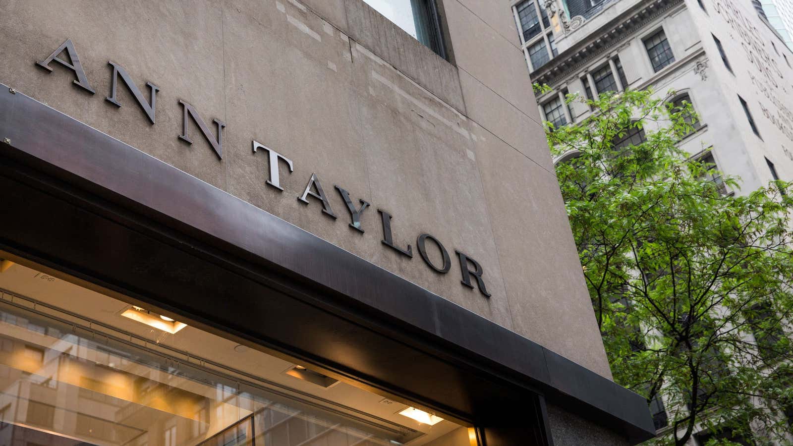Ann Taylor fits nicely into Ascena Retail Group’s audience of professional suburban women.
