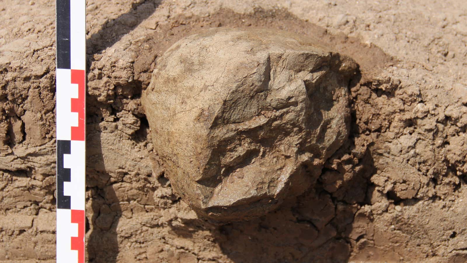 One of the stone tool’s unearthed at the at Lomekwi 3 excavation site.