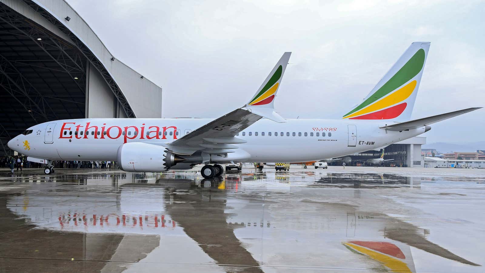 Grounded Ethiopian 737 Max 8 plane.