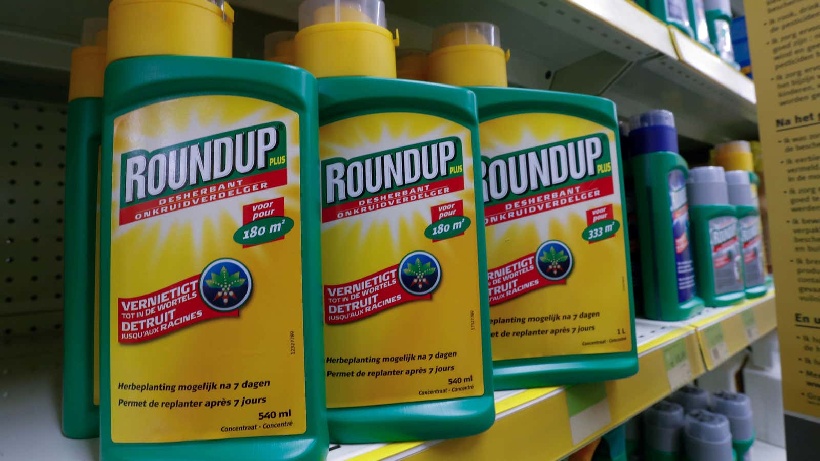 Monsanto’s Roundup weedkiller atomizers are displayed for sale at a garden shop near Brussels, Belgium, on November 27, 2017.
