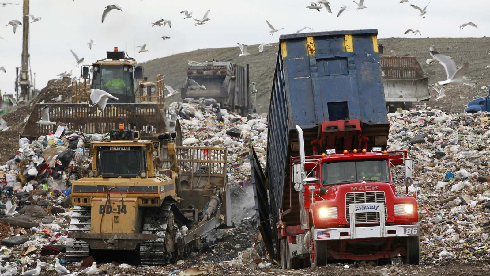 A whopping 40% of food in America ends up in a landfill.