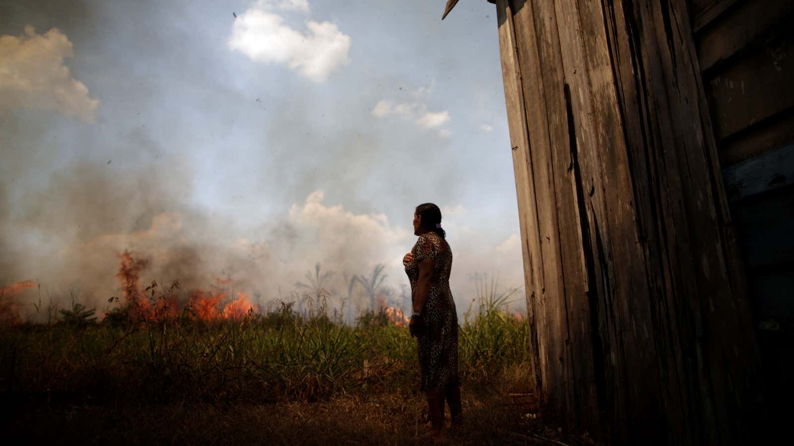 Under President Jair Bolsonaro, deforestation in the Brazilian Amazon has reached record highs.